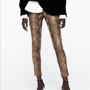 Zara Animal Print Coated Leggings - Snake Pattern